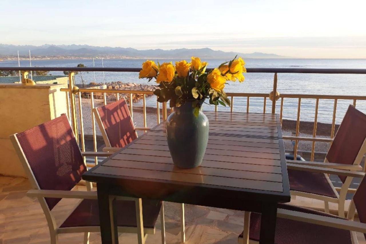Seafront One Bedroom Apartment With A Terrasse Swimming Pool And A Parking アンティーブ エクステリア 写真